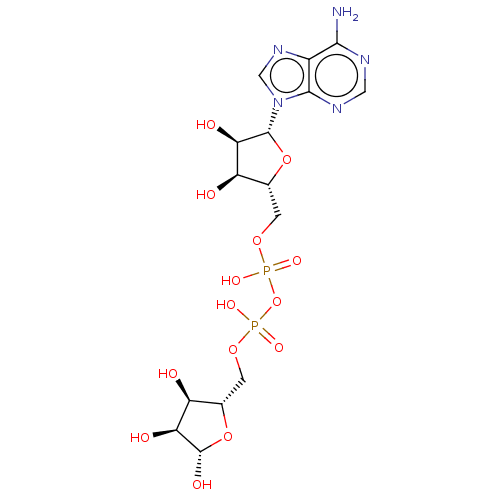 PNG