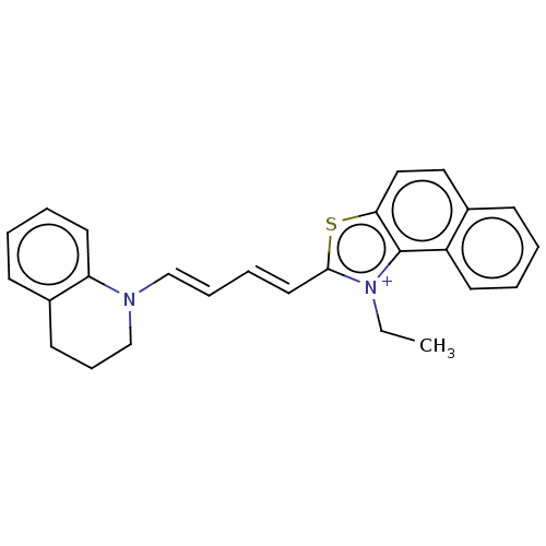 PNG