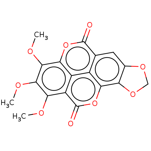 PNG