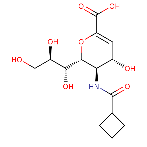 PNG