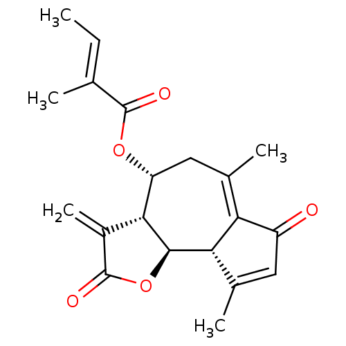 PNG
