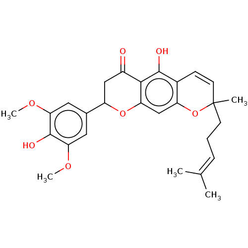 PNG
