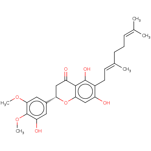 PNG
