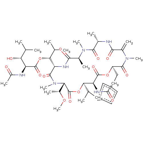PNG