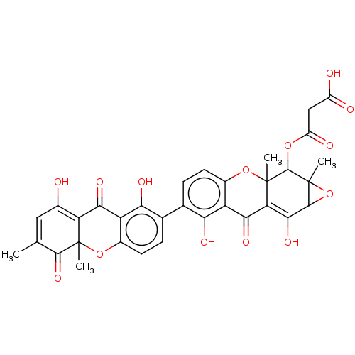 PNG
