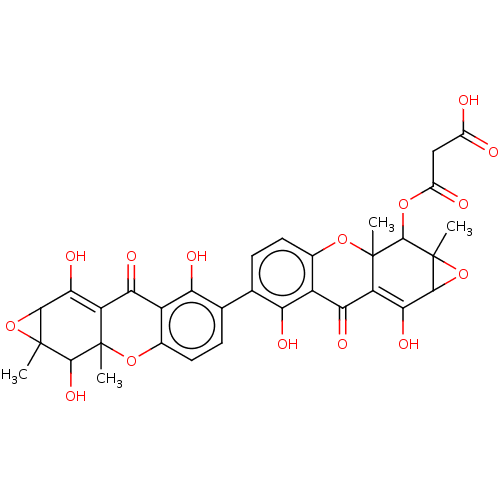 PNG