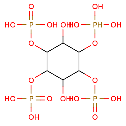 PNG