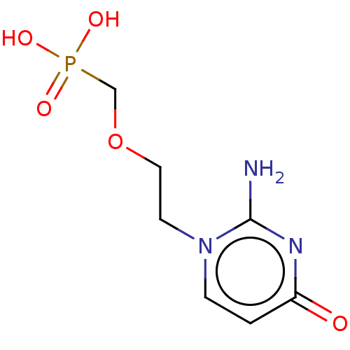 PNG