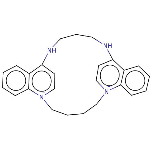 PNG