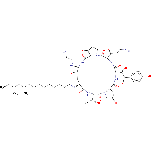 PNG