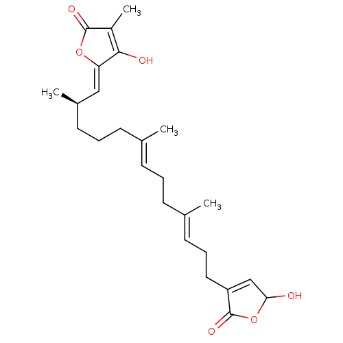 PNG