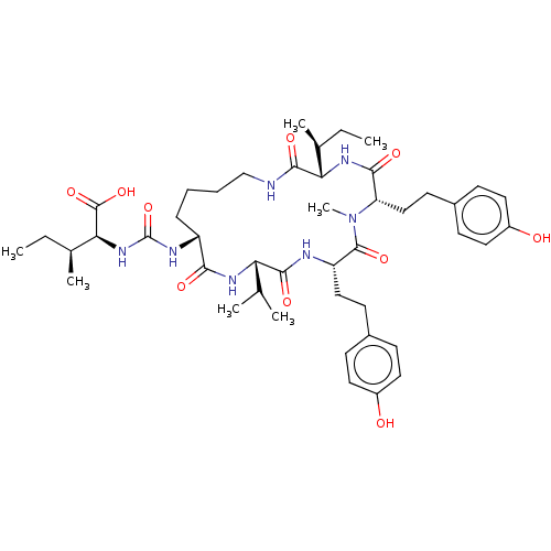 PNG