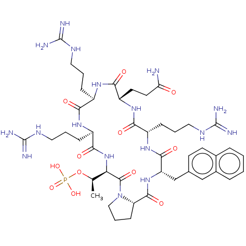 PNG