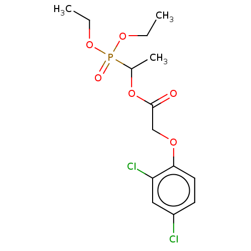 PNG