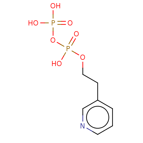 PNG