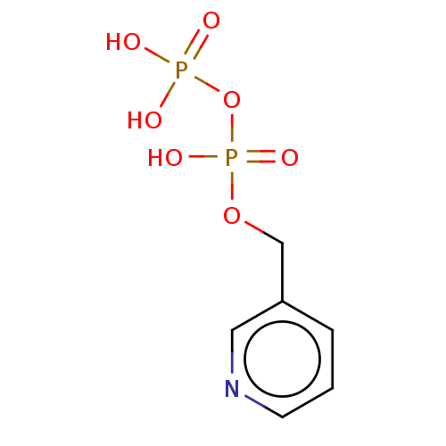 PNG