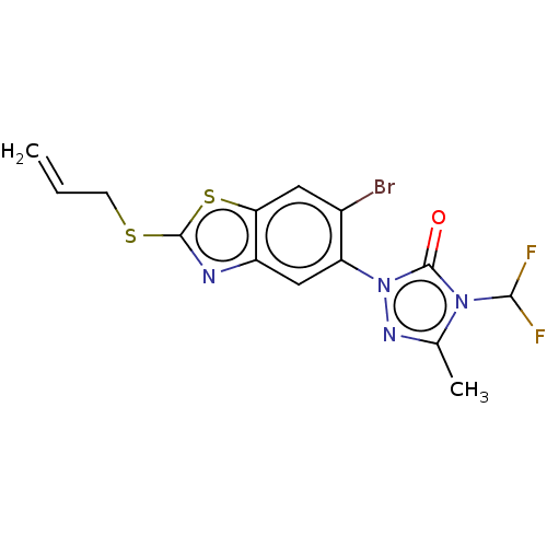 PNG