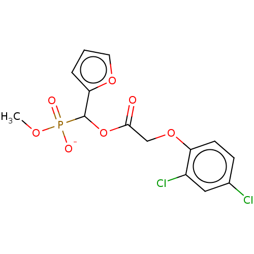PNG
