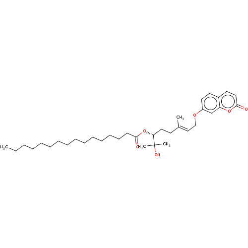 PNG