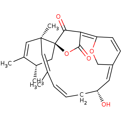 PNG
