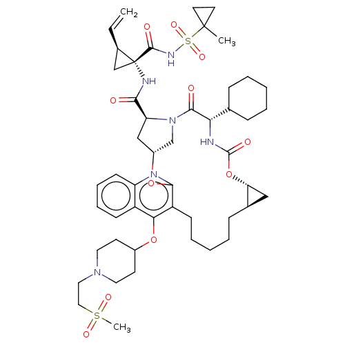 PNG