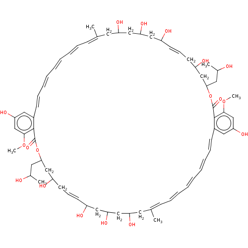 PNG