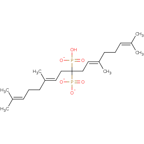 PNG