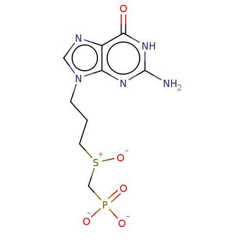 PNG
