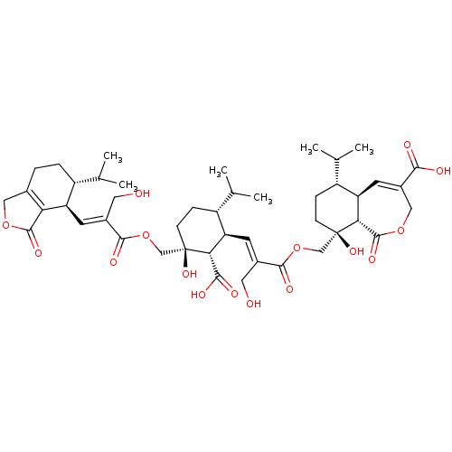 PNG