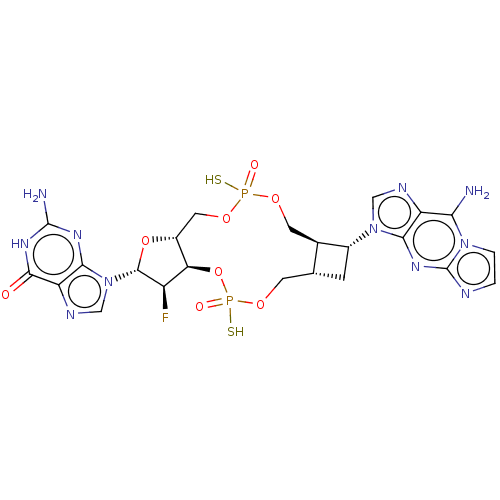 PNG