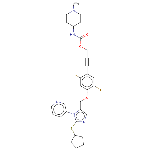 PNG