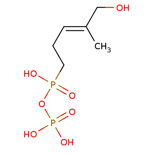 PNG