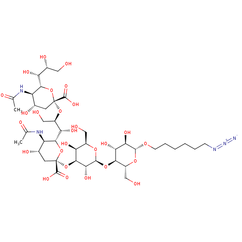PNG