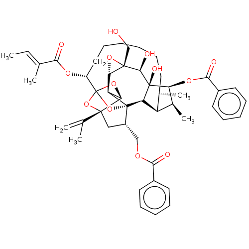 PNG
