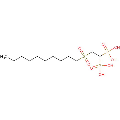 PNG
