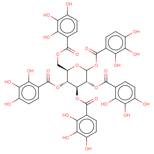PNG