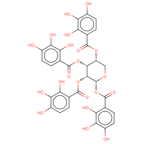 PNG
