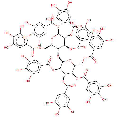 PNG