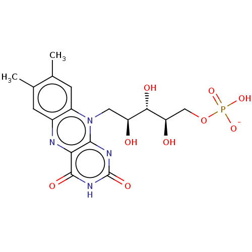 PNG