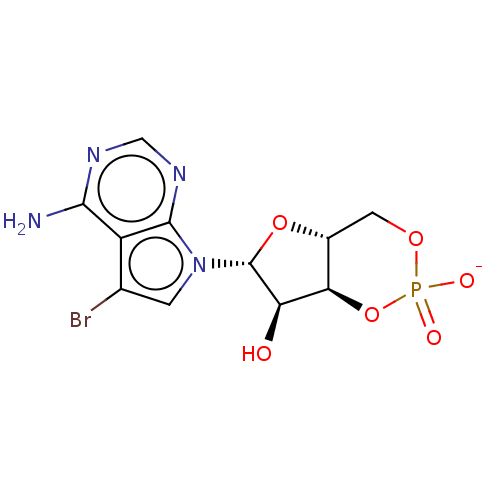 PNG