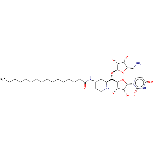 PNG