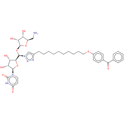 PNG