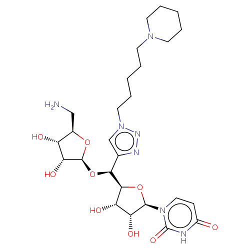 PNG