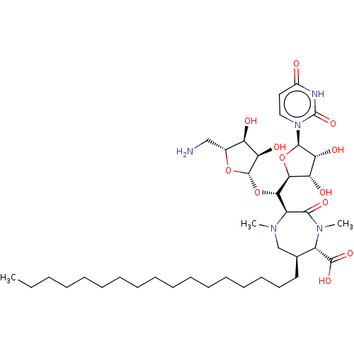 PNG