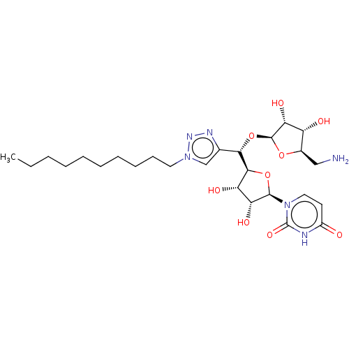 PNG