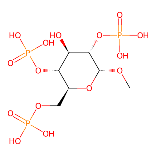 PNG