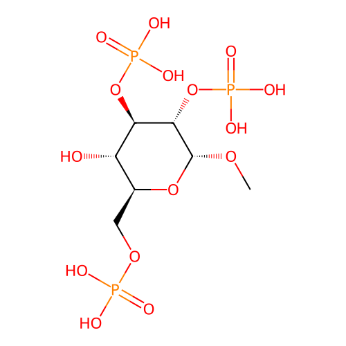 PNG