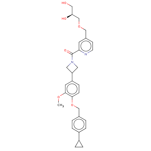 PNG