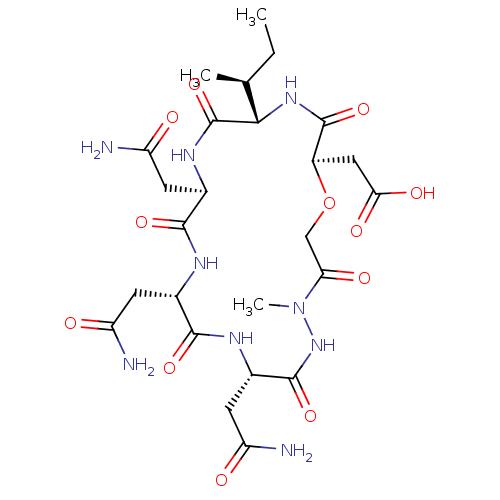 PNG