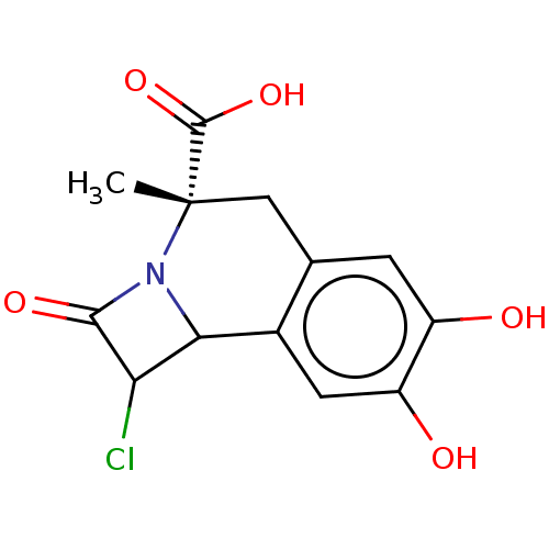 PNG